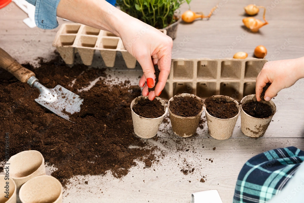 Organic Gardening: How to Start a Garden 99